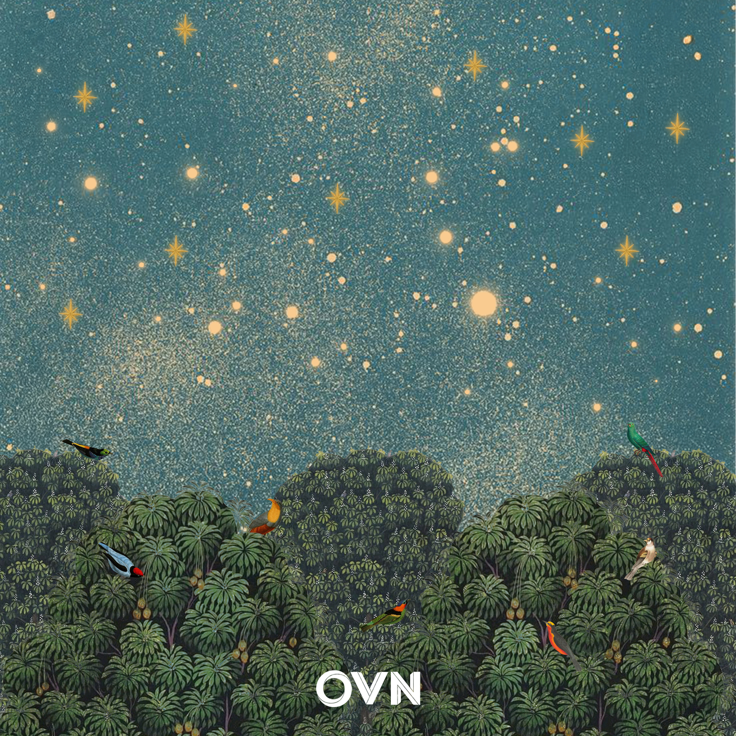 Image Cover